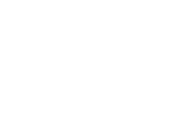 trunk-logo-white